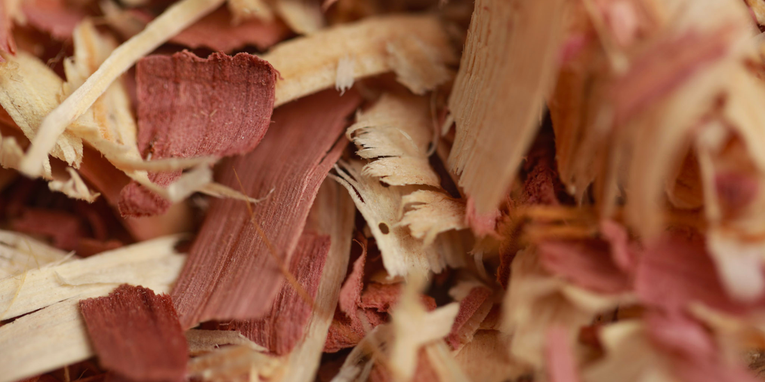 Cedarwood chips used in distilling cedarwood oil for skincare