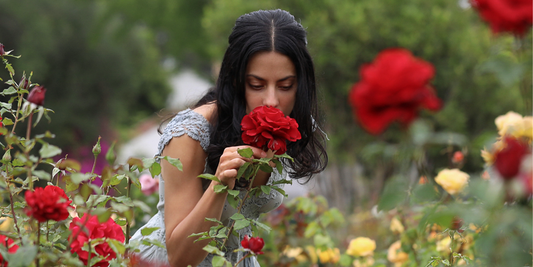 Are Unscented Products Better For Your Skin? - Flora Mirabilis
