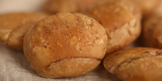 Sacha Inchi Oil: The Richest Source of Omega-3 for Radiant Skin - Flora Mirabilis