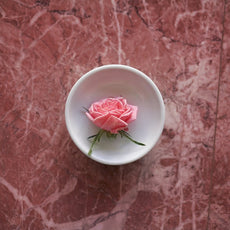 Flora-Mirabilis-Ingredients-Tile-Rose - Flora Mirabilis